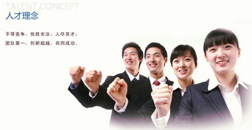 人才理念