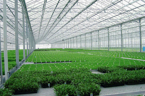 溫室輕鋼網(wǎng)架大棚工程